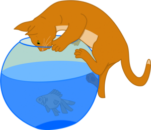 a curious kitty looking in a fish bowl